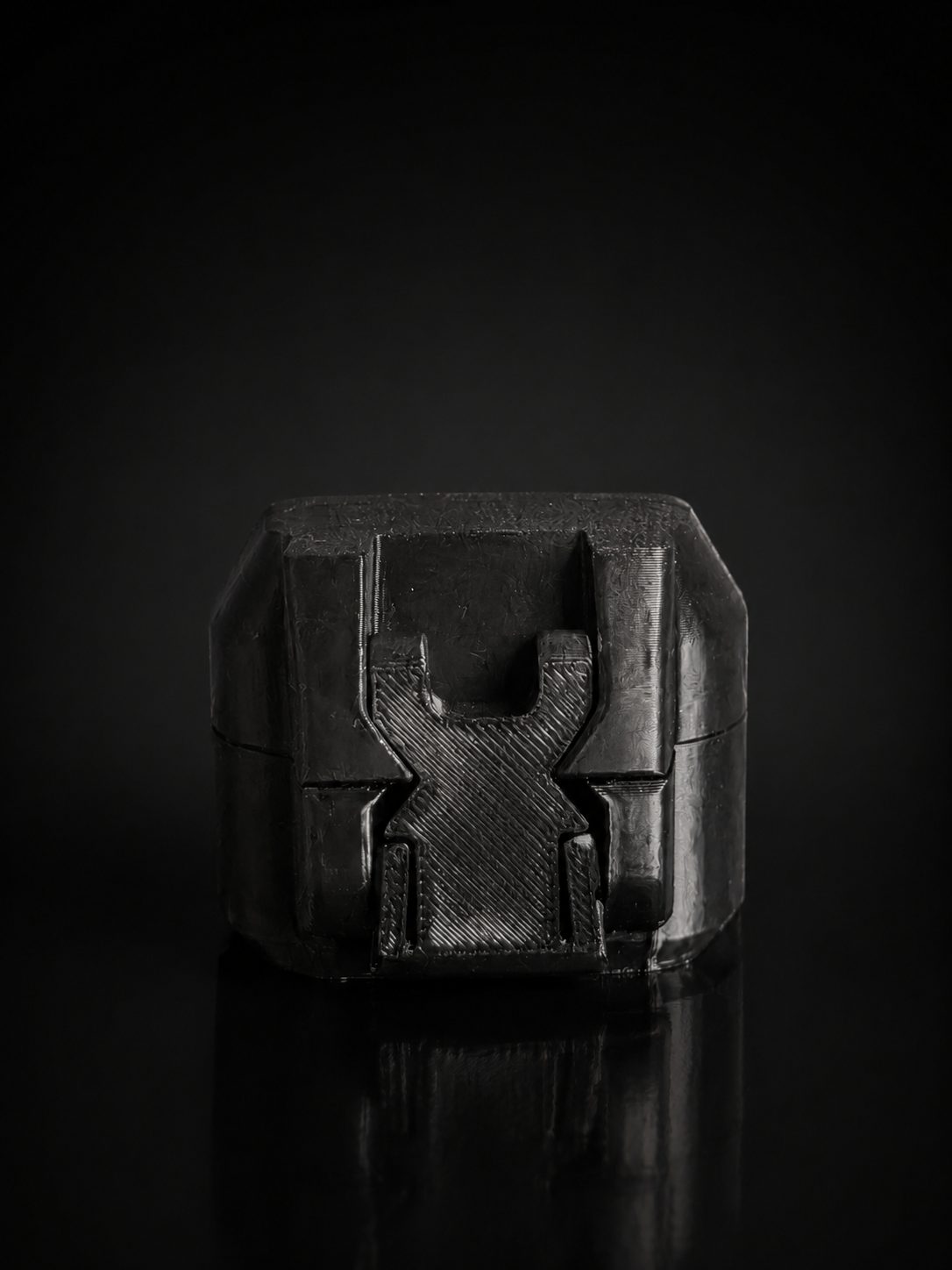 Snaplock case (2 slot)